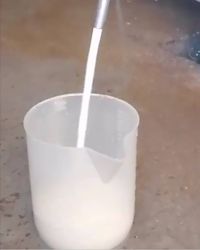 Loeiverse melk